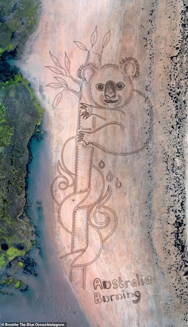 Αυστραλία: Ένα γιγάντιο κοάλα στην άμμο αφιερωμένο σε εκείνα που κάηκαν - Φωτογραφία 3