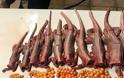 Πωλούν ιγκουάνα στο Facebook ως «κοτόπουλα των δέντρων» - Φωτογραφία 2