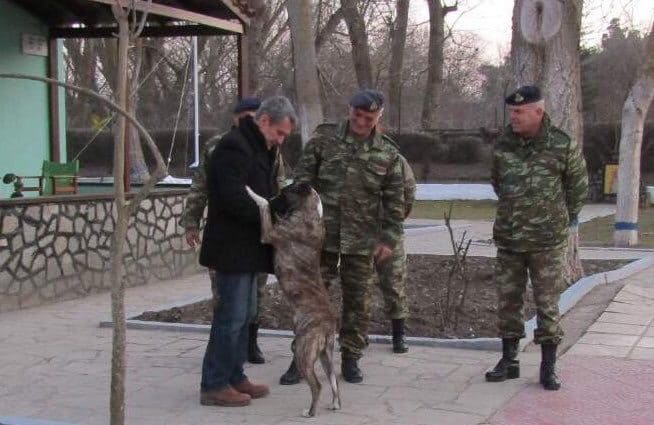 Έλληνες στρατιώτες υιοθέτησαν σκύλο που είχε κακοποιηθεί σε τουρκικό φυλάκιο - Φωτογραφία 1