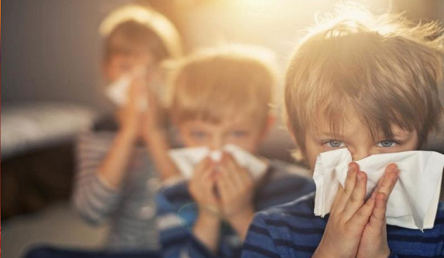 Ποια σχολεία λόγω γρίπης δεν θα λειτουργήσουν Πέμπτη-Παρασκευή (Νηπιαγωγείο Παλαίρου, Θυρρείου, Αστακού, Αγρινίου) - Φωτογραφία 1