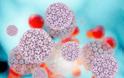 Το HPV, ο καρκίνος του τραχήλου της μήτρας μπορούν να εξαλειφθούν με συστηματικό εμβολιασμό