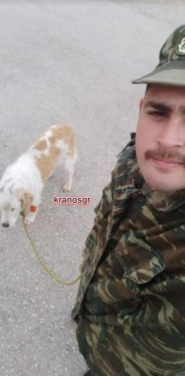 Στρατιώτες σώζουν σκύλο από χτύπημα αυτοκινήτου και βέβαιο θάνατο - Φωτογραφία 3