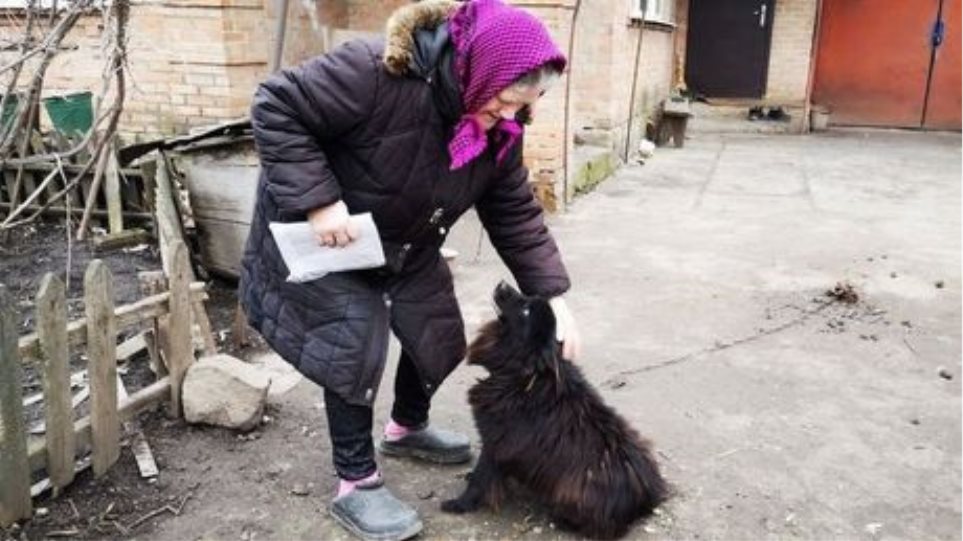 Ουκρανία: Βουλευτής πρότεινε σε συνταξιούχο «να πουλήσει τον σκύλο της για να πληρώσει τους λογαριασμούς της» - Φωτογραφία 1