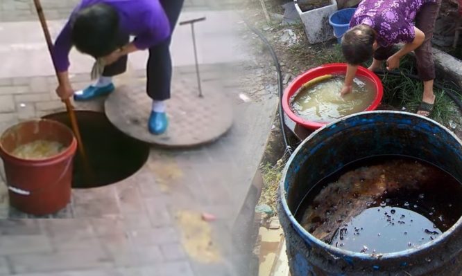 Ο κορωνοϊός δεν είναι τίποτα: Μαγειρικό λάδι από απόβλητα υπονόμων στην Κίνα – Εικόνες ΣΟΚ από ανθυγιεινές πρακτικές - Φωτογραφία 1