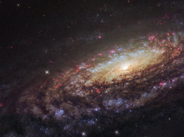 NGC 7331 Close Up - Φωτογραφία 1
