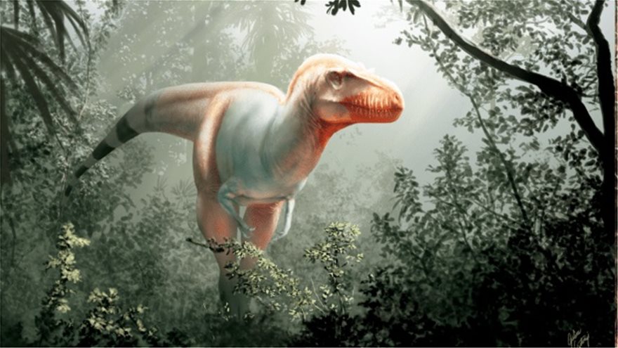 Καναδάς: Ανακαλύφθηκε ένας εξάδελφος του T-Rex, ο Θανατοθεριστής - Φωτογραφία 4