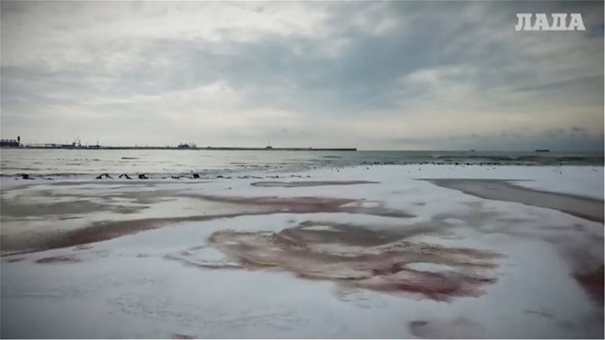 ΒΙΝΤΕΟ.Συγκλονιστικό θέαμα: «Μάτωσε» η θάλασσα στο Καζακστάν - Φωτογραφία 4