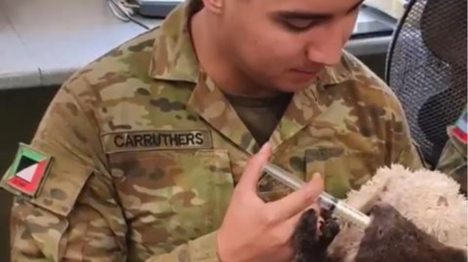 Αυστραλία: Στρατιώτες αγκαλιάζουν και ταΐζουν κοάλα που διασώθηκαν από τις φονικές πυρκαγιές - Φωτογραφία 1