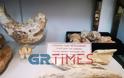 «Το πιο σπουδαίο εύρημα στην Ελλάδα»: Λύνεται σταδιακά το μυστήριο του Κρανίου των Πετραλώνων - Φωτογραφία 7