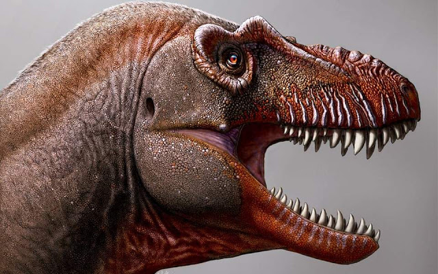 Ο Θανατοθεριστής: Νέο είδος τυραννόσαυρου ανακαλύφθηκε στον Καναδά - Φωτογραφία 1