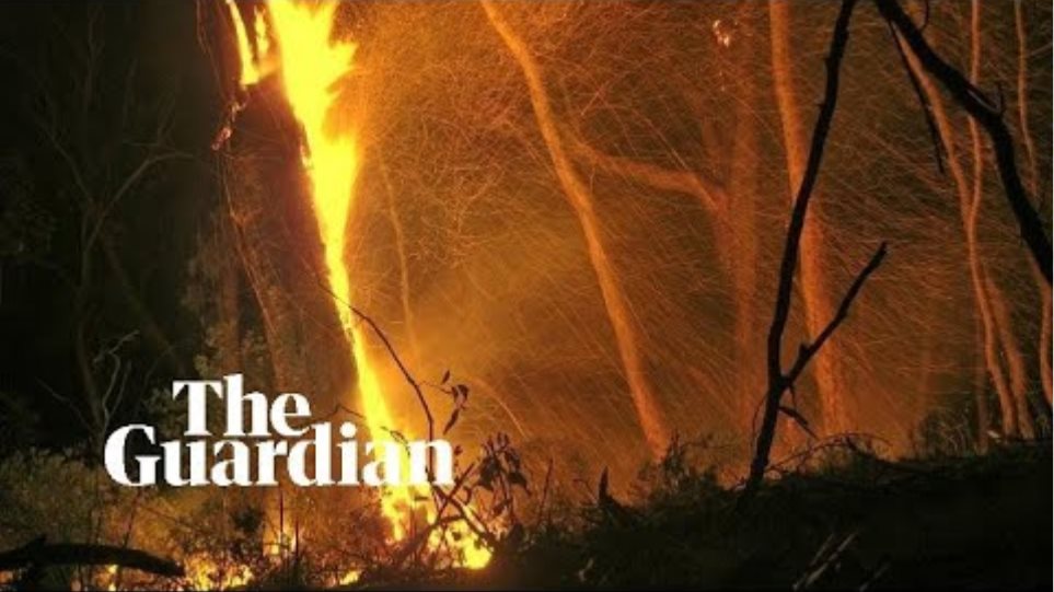 Το 75% των Αυστραλών επηρεάστηκε από τις πυρκαγιές - Φωτογραφία 2