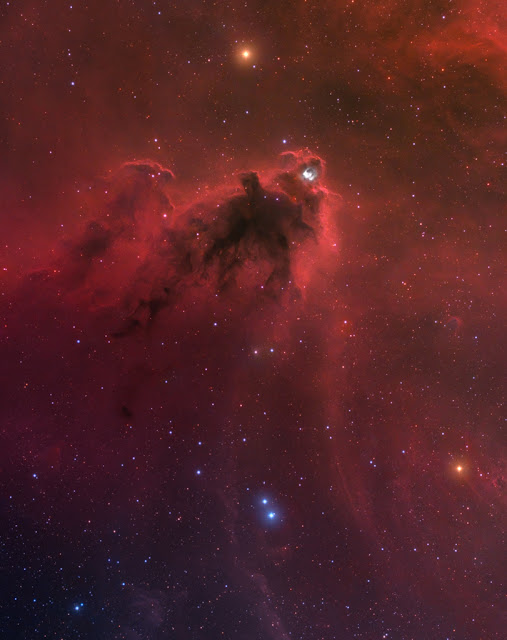 LDN 1622: Dark Nebula in Orion - Φωτογραφία 1