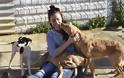 Αμερικανοί της Σούδας  σε καταφύγιο αδέσποτων σκύλων - Φωτογραφία 2