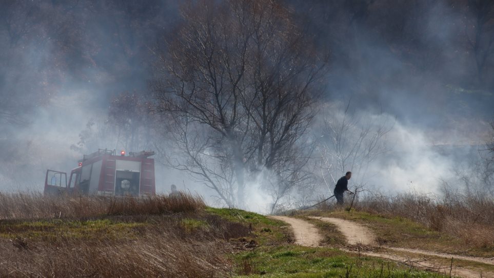 Έβρος: Μετανάστες έβαλαν φωτιά σε δασική έκταση στο χωριό Στέρνα και στο Νεοχώρι - Φωτογραφία 1