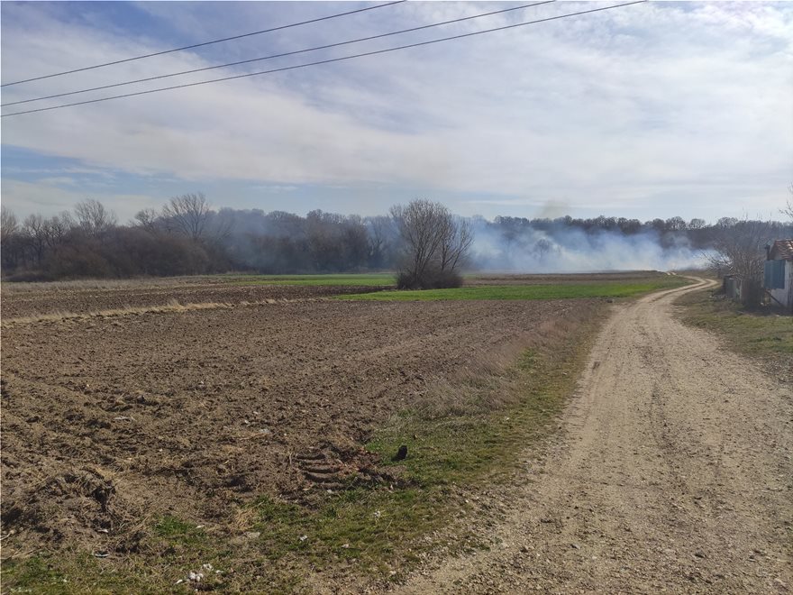 Έβρος: Μετανάστες έβαλαν φωτιά σε δασική έκταση στο χωριό Στέρνα και στο Νεοχώρι - Φωτογραφία 4
