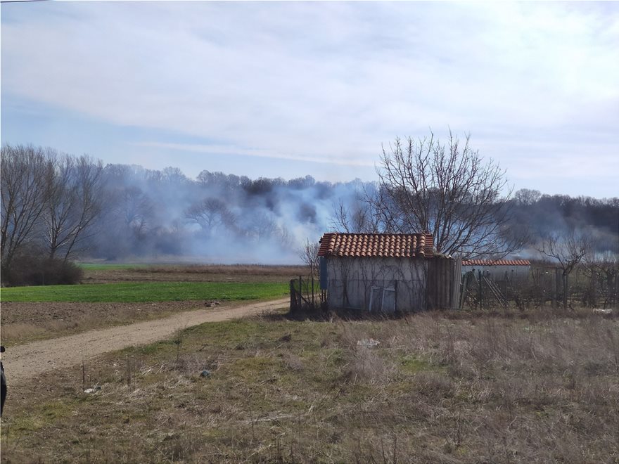 Έβρος: Μετανάστες έβαλαν φωτιά σε δασική έκταση στο χωριό Στέρνα και στο Νεοχώρι - Φωτογραφία 5