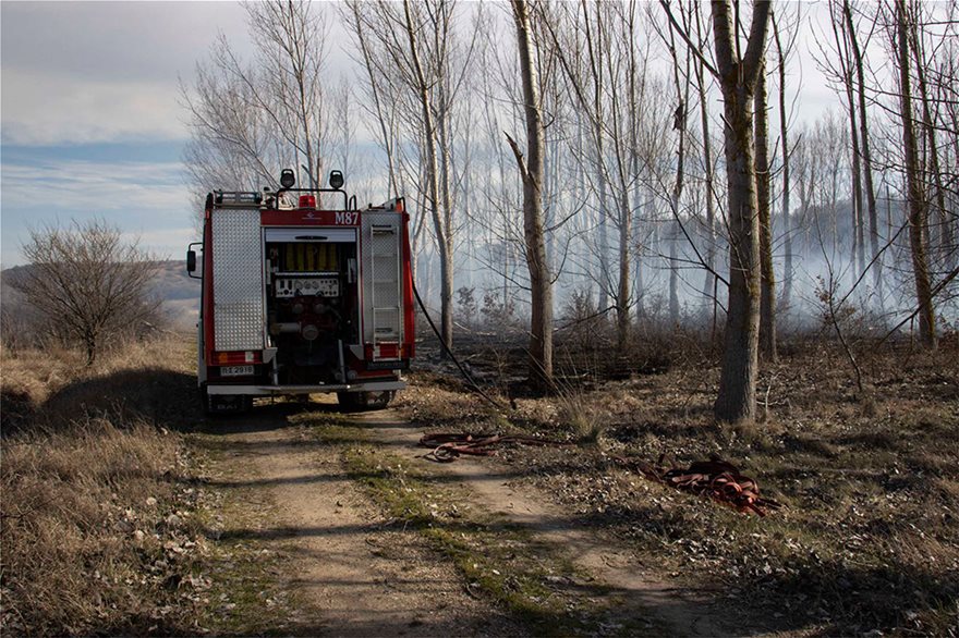 Έβρος: Μετανάστες έβαλαν φωτιά σε δασική έκταση στο χωριό Στέρνα και στο Νεοχώρι - Φωτογραφία 7