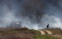 Έβρος: Μετανάστες έβαλαν φωτιά σε δασική έκταση στο χωριό Στέρνα και στο Νεοχώρι