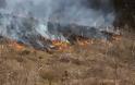 Έβρος: Μετανάστες έβαλαν φωτιά σε δασική έκταση στο χωριό Στέρνα και στο Νεοχώρι - Φωτογραφία 9