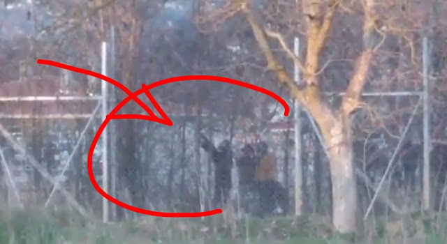 Ανάμεσα στους μετανάστες στα σύνορα υπάρχουν και πράκτορες των Τούρκων με εξοπλισμό όπως...πολυβομβιδοβόλο καπνογόνων (Video) - Φωτογραφία 1