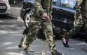 «Θωρακίζονται» ακόμα και με στρατιωτικούς σκύλους - Αυξημένη εγρήγορση στο Καστελόριζο
