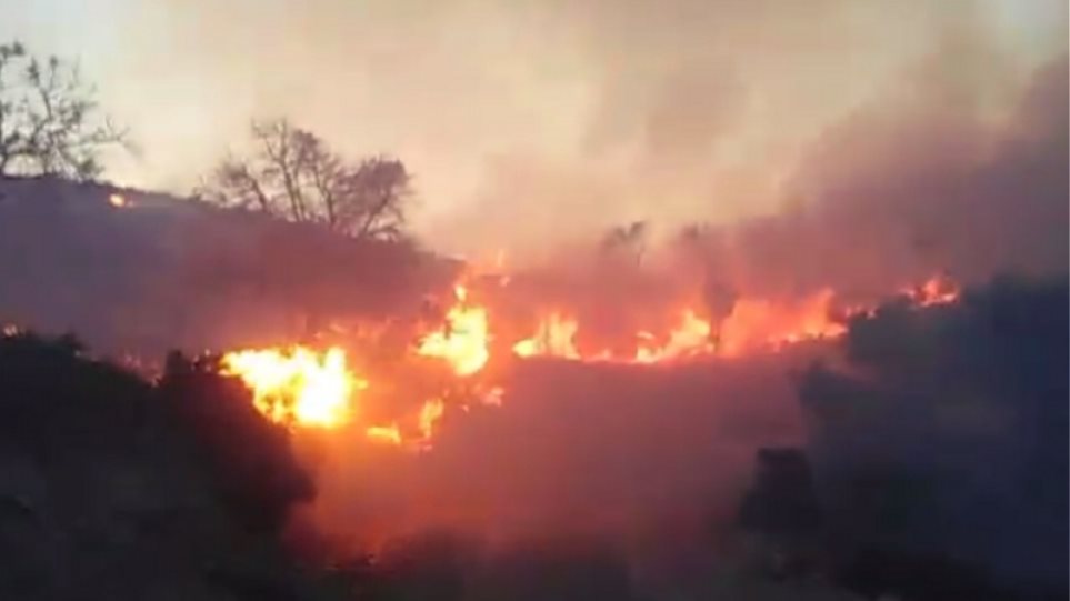 Λασίθι: Πυρκαγιά σε δασική έκταση - Κάηκαν πάνω από 70 στρέμματα! - Φωτογραφία 1
