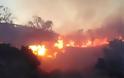 Λασίθι: Πυρκαγιά σε δασική έκταση - Κάηκαν πάνω από 70 στρέμματα!