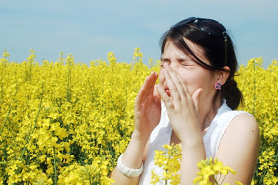 Τι είναι η αλλεργία; Πώς εκδηλώνεται μια αλλεργική αντίδραση; Πώς αντιμετωπίζεται; - Φωτογραφία 1