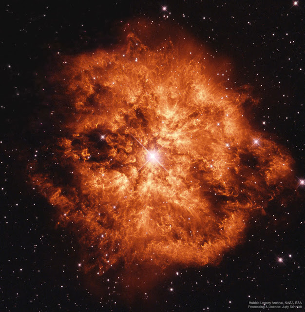 Wolf-Rayet Star 124: Stellar Wind Machine - Φωτογραφία 1
