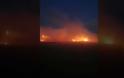 Έβρος: Επικίνδυνη νύχτα - Μετανάστες πέταξαν μολότοφ και άναψαν φωτιές - Φωτογραφία 2