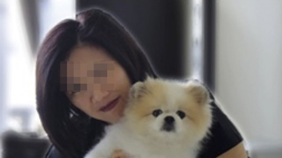 Πέθανε ο πρώτος σκύλος που είχε διαγνωστεί θετικός στον ιό - Φωτογραφία 1