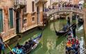 Venice’s canals are the cleanest they’ve been in living memory - Φωτογραφία 4