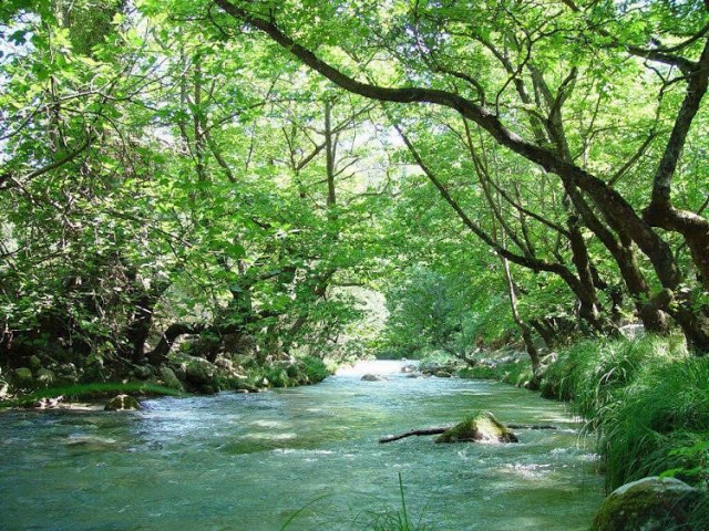 Ράφτινγκ στα δημοφιλέστερα ποτάμια της Ελλάδος - Φωτογραφία 6