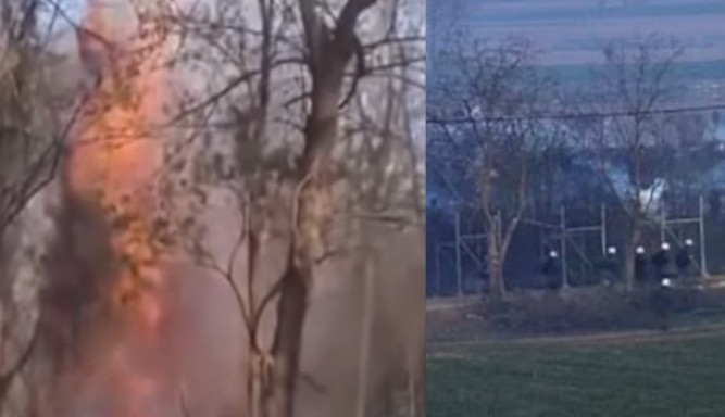 Εβρος: Μετανάστες έβαλαν φωτιά σε δέντρο για να το ρίξουν στον φράχτη (video) - Φωτογραφία 1
