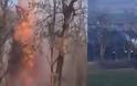 Εβρος: Μετανάστες έβαλαν φωτιά σε δέντρο για να το ρίξουν στον φράχτη (video)