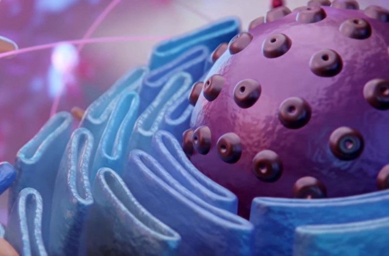 Ανατριχιαστικό βίντεο: Δείτε πως εισέρχεται ο κορωνοϊός στα ανθρώπινα κύτταρα -Πως επηρεάζει πνεύμονες, καρδιά, νεφρούς και έντερο - Φωτογραφία 1