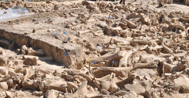 A mysterious 25.000-year-old structure built of the bones of 60 Mammoths - Φωτογραφία 1