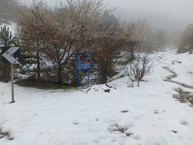 Περιφερειακή Ενότητα Πιερίας...Σε επιχειρησιακή ετοιμότητα για την αντιμετώπιση των χιονοπτώσεων στη Νότια Πιερία - Φωτογραφία 2