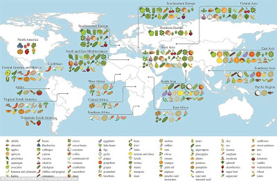 Ποιες χώρες δημιουργούν απόθεμα τροφίμων με απαγόρευση εξαγωγών - Φωτογραφία 1