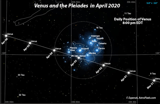 Venus and the Pleiades in April - Φωτογραφία 1