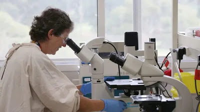 Αρχίζουν προκλινικές δοκιμές για δύο εμβόλια κατά του κοροναϊού  στην Αυστραλία - Φωτογραφία 1