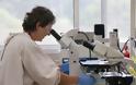 Αρχίζουν προκλινικές δοκιμές για δύο εμβόλια κατά του κοροναϊού  στην Αυστραλία