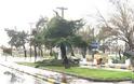 Κακοκαιρία Ξάνθη: Θυελλώδεις άνεμοι και ισχυρή βροχή προκάλεσαν μεγάλες ζημιές - Φωτογραφία 3