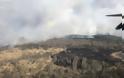 Ουκρανία: Δασική φωτιά κοντά στο Τσερνόμπιλ
