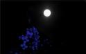 Ροζ υπερπανσέληνος: Το μεγαλύτερο φεγγάρι του 2020 - Φωτογραφία 6