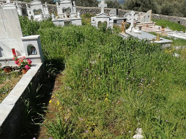 Πνιγμένο» στα χόρτα το νεκροταφείο στον ΠΡΟΔΡΟΜΟ Ξηρομέρου - Φωτογραφία 3