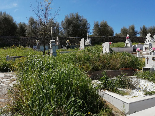 Πνιγμένο» στα χόρτα το νεκροταφείο στον ΠΡΟΔΡΟΜΟ Ξηρομέρου - Φωτογραφία 4