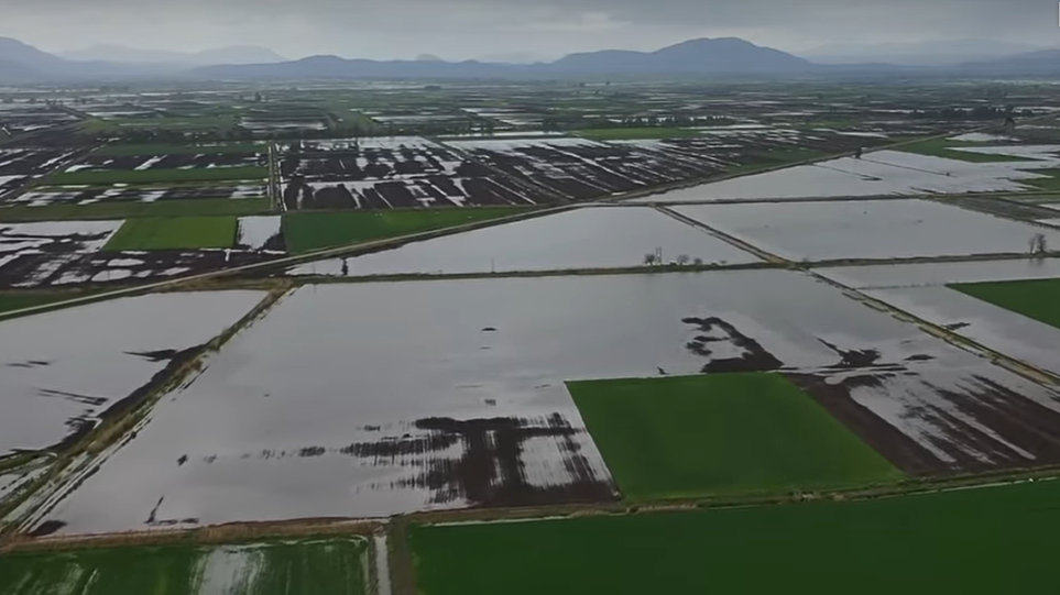 βίντεο από τον πλημμυρισμένο κάμπο της Κωπαΐδας από τις βροχές του Απριλίου - Φωτογραφία 1