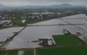 βίντεο από τον πλημμυρισμένο κάμπο της Κωπαΐδας από τις βροχές του Απριλίου