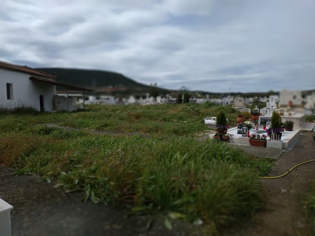 Παράπονα για τα ΧΟΡΤΑ στο Νεκροταφείο ΒΟΝΙΤΣΑΣ - [ΦΩΤΟ] - Φωτογραφία 1